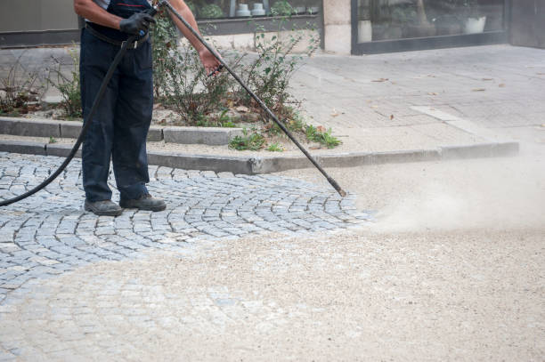 Best Animal Enclosure Cleaning  in Vincent, CA